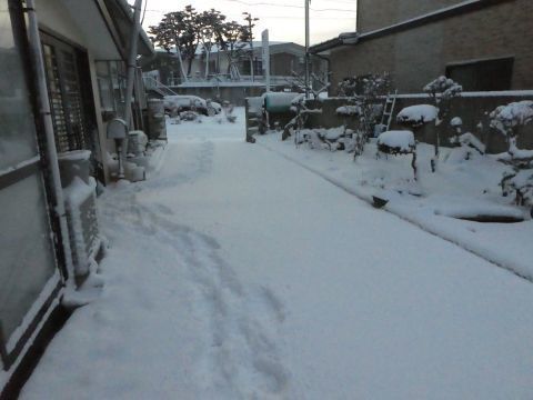 2019-2-10-1.jpg
