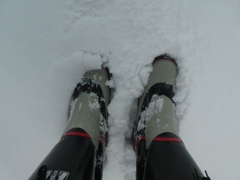 2019-2-10-10.jpg