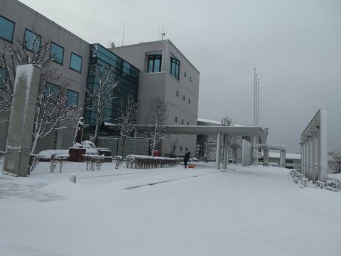2019-2-10-4.jpg