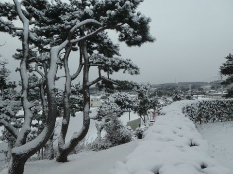 2019-2-10-5.jpg