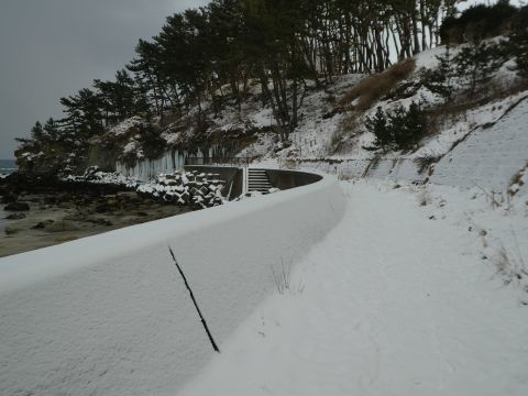2019-2-14-3.jpg