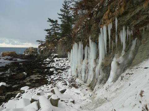 2019-2-14-4.jpg