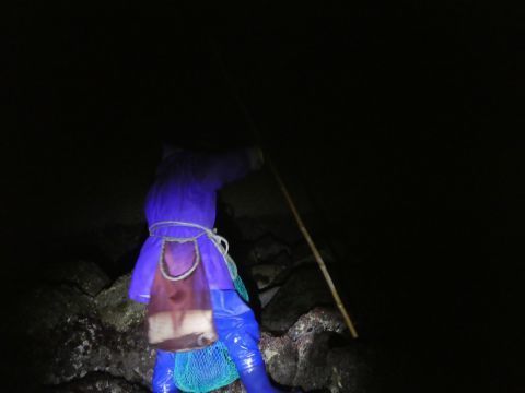 2019-2-6-5.jpg