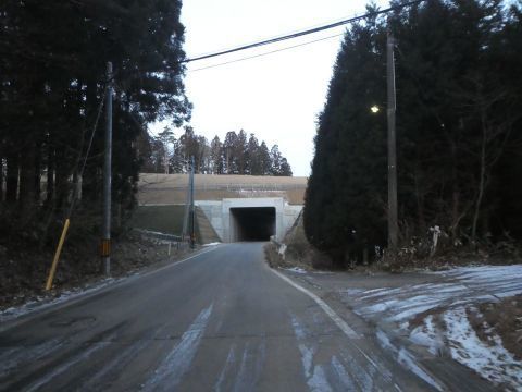 2019-3-16-1.jpg