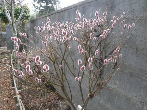 2019-3-4-2.jpg