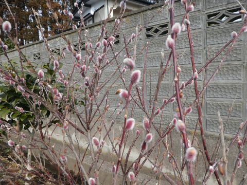 2019-3-4-5.jpg