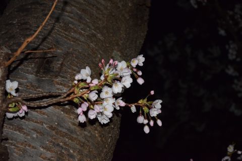 2019-4-24-2.jpg