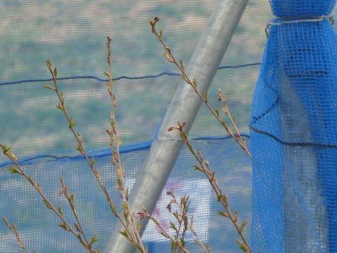 2019-4-25-10.jpg