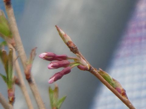 2019-4-25-12.jpg