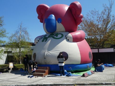 2019-5-4-9.jpg