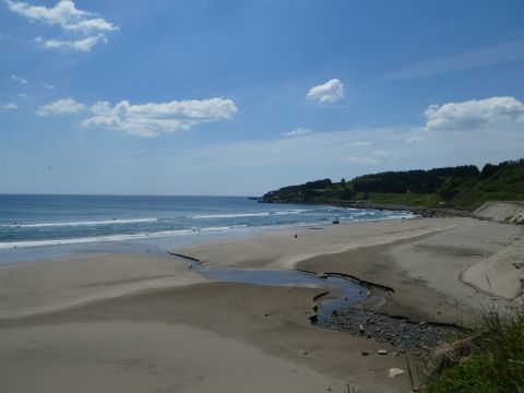 2019-6-4-1.jpg