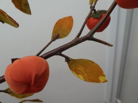 2019-6-9-4.jpg