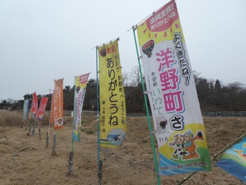 23019-1-25-12.jpg