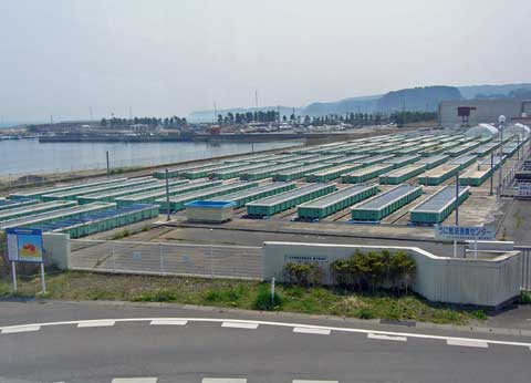 うに栽培漁場センター