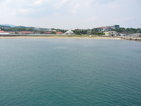 洋野町 海