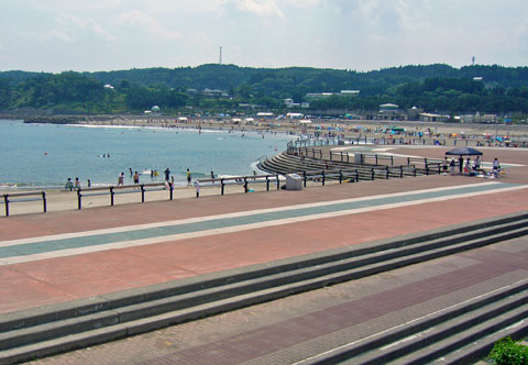 海浜公園