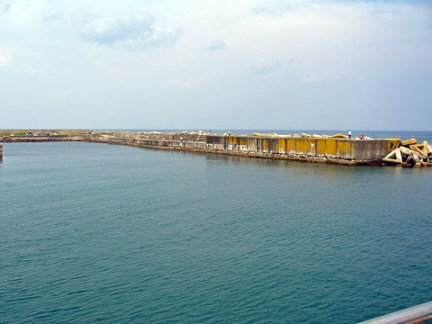洋野町 海