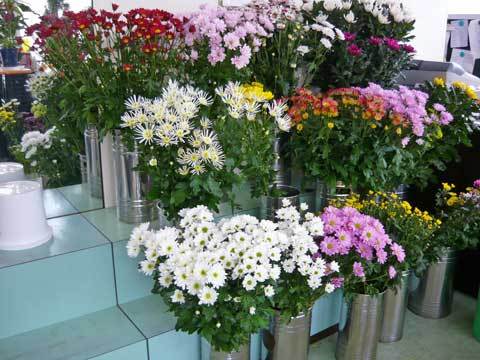 フラワーショップ三恵の花