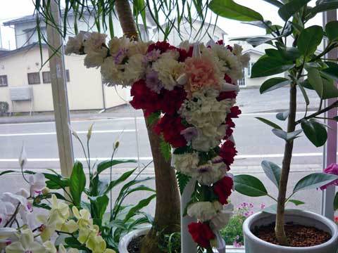 フラワーショップ三恵の花