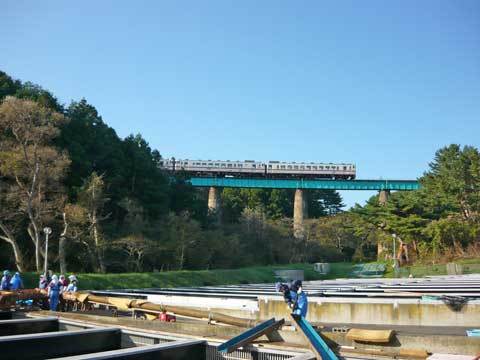 八戸線の列車