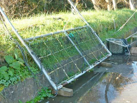 有家鮭ます孵化場