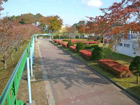 八戸市子供の国