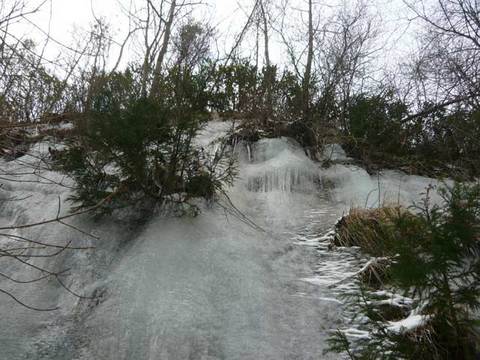 2011-1-25-5.jpg