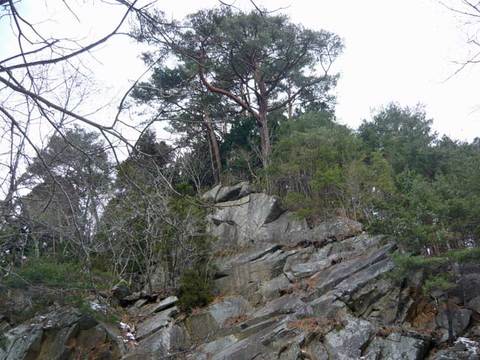 2011-1-25-7.jpg