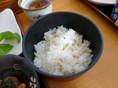ご飯