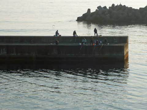 玉川漁港の釣り人