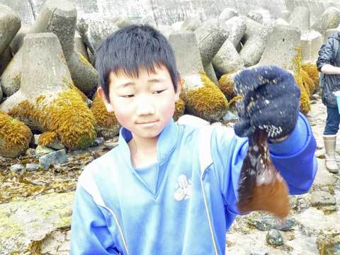 海ウシ