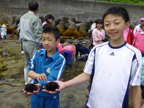 磯遊び