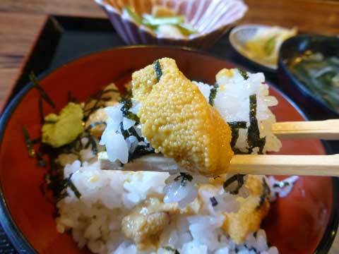 1000円生うに丼
