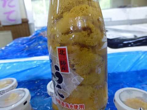 生ウニ