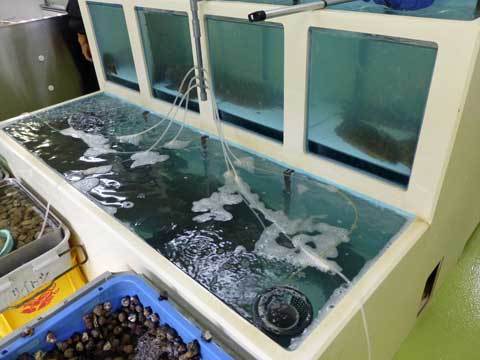 斉藤商店