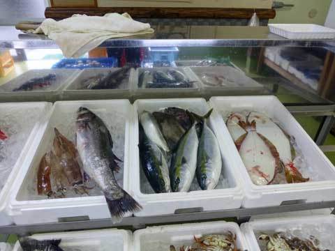 斉藤商店