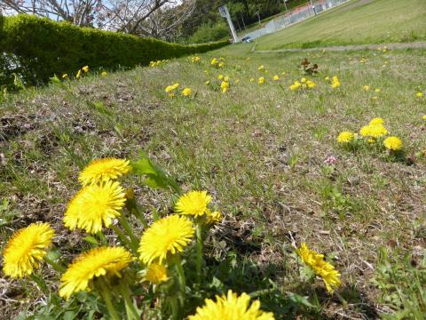 2014-5-18-3.jpg