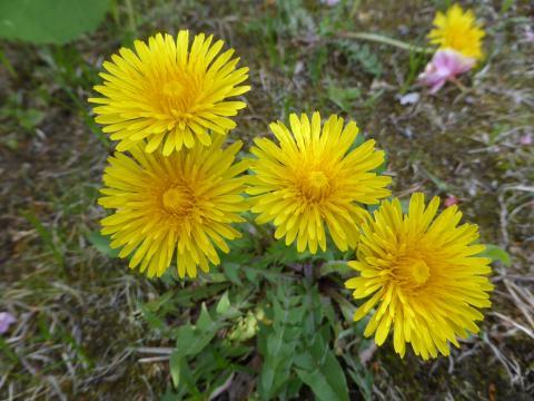 2014-5-18-4.jpg
