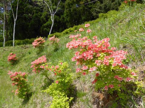 2014-5-18-7.jpg