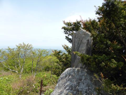 2014-5-29-10.jpg