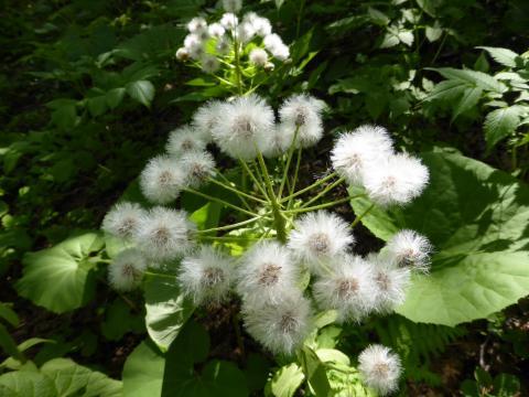 2014-5-29-6.jpg