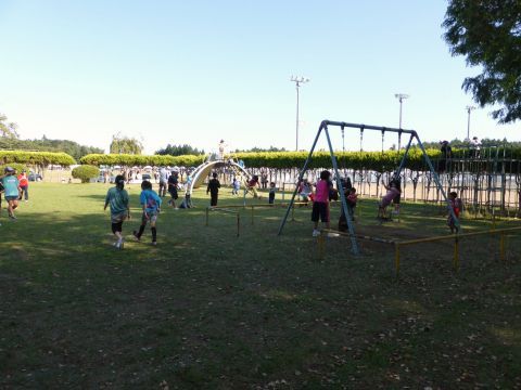 2014-9-26-11.jpg