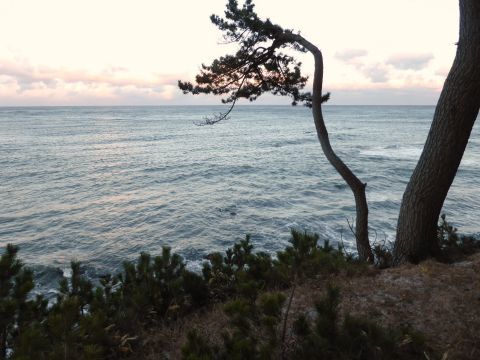2015-1-19-12.jpg