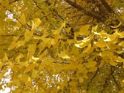2015-10-26-6.jpg