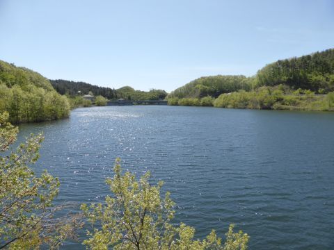 2016-5-19-7.jpg