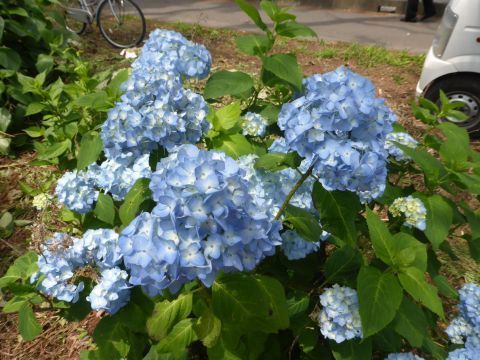 2016-7-26-11.jpg