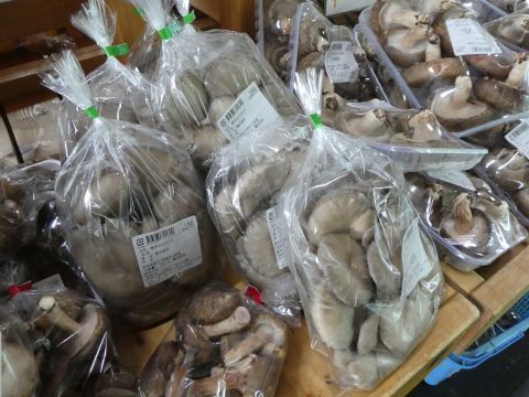 2017-10-26-3.jpg