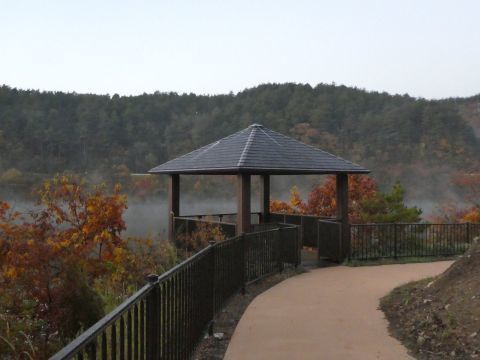 2017-10-31-6.jpg