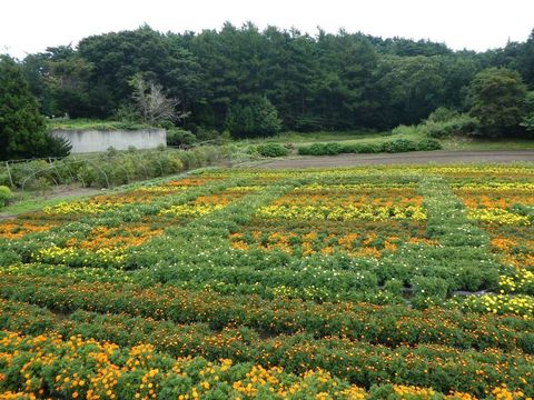2017-9-14-5.jpg