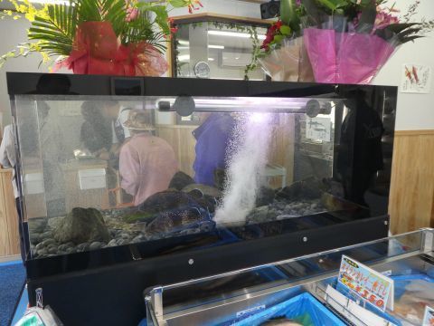 2018-10-2-10.jpg